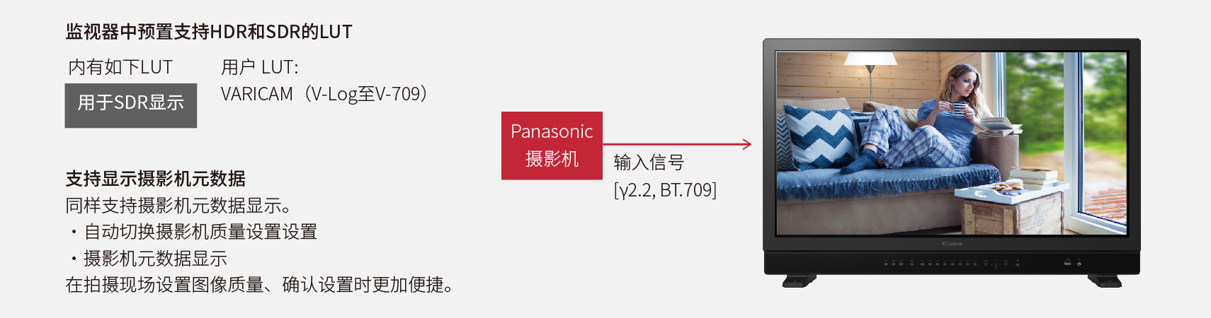 预置了Panasonic VARICAM摄影机的“V-Log”
