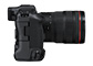 EOS R3 + RF24-70mm F2.8 L IS USM（6/7）