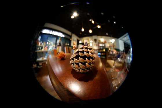 静物（圆形鱼眼）