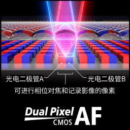 全像素双核CMOS AF的出色对焦性能