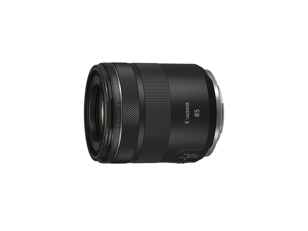 RF85mm F2 MACRO IS STM