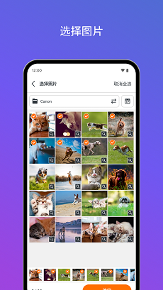 应用界面截图
