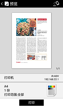 应用界面截图